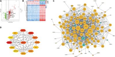 Identification of Hub Genes and Immune Infiltration in Psoriasis by Bioinformatics Method